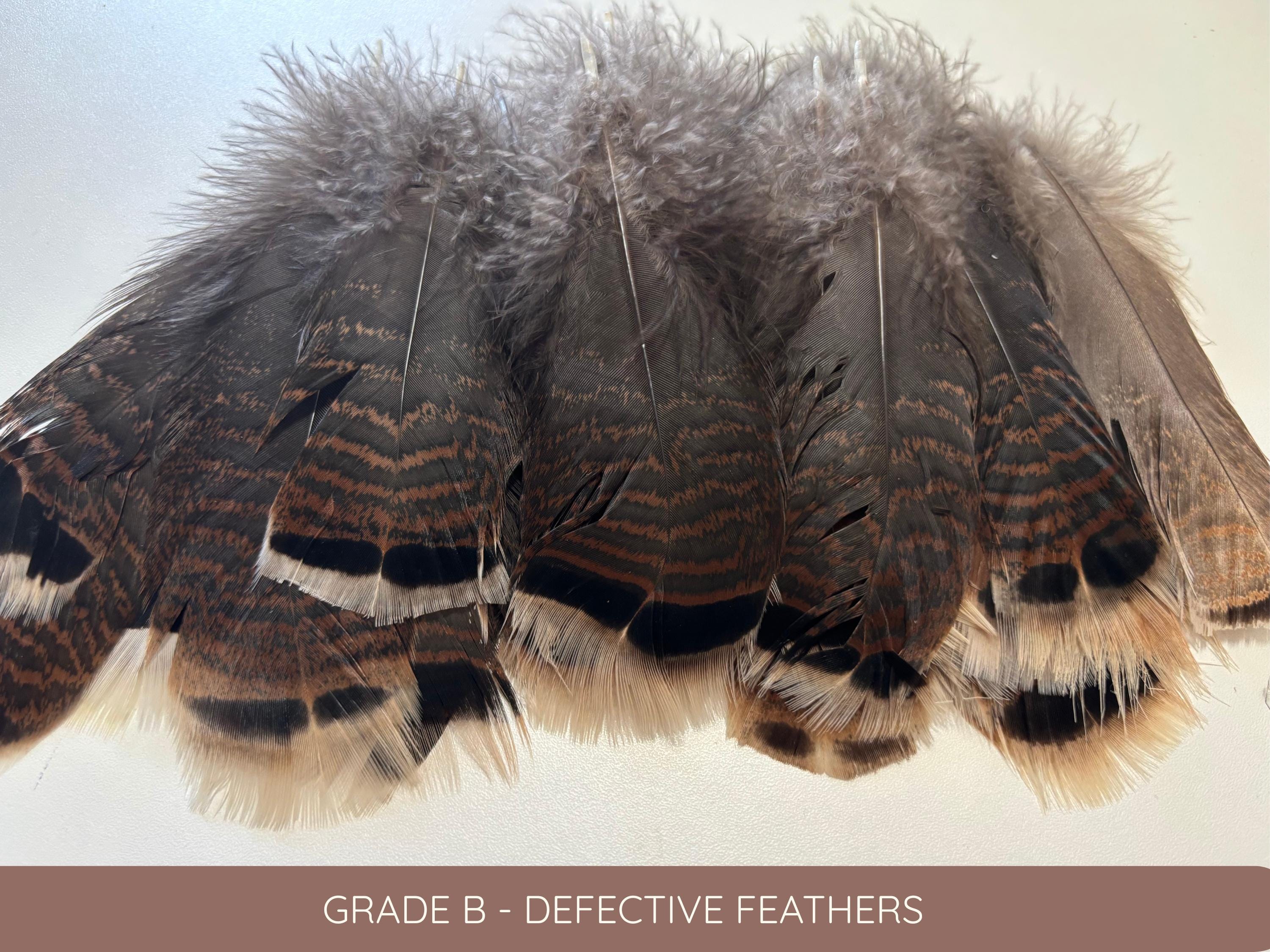 Large turkey tail feathers, smudge feathers, 13-18cm, 5-8 inch
