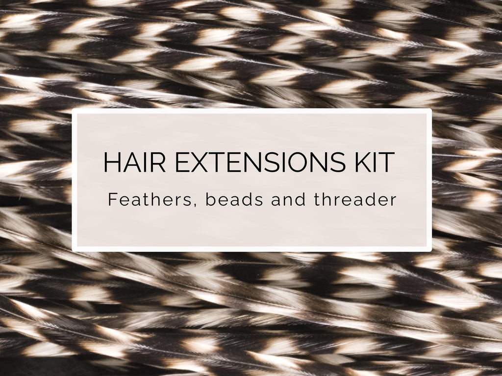 5 Extensions de cheveux à plumes noires et blanches