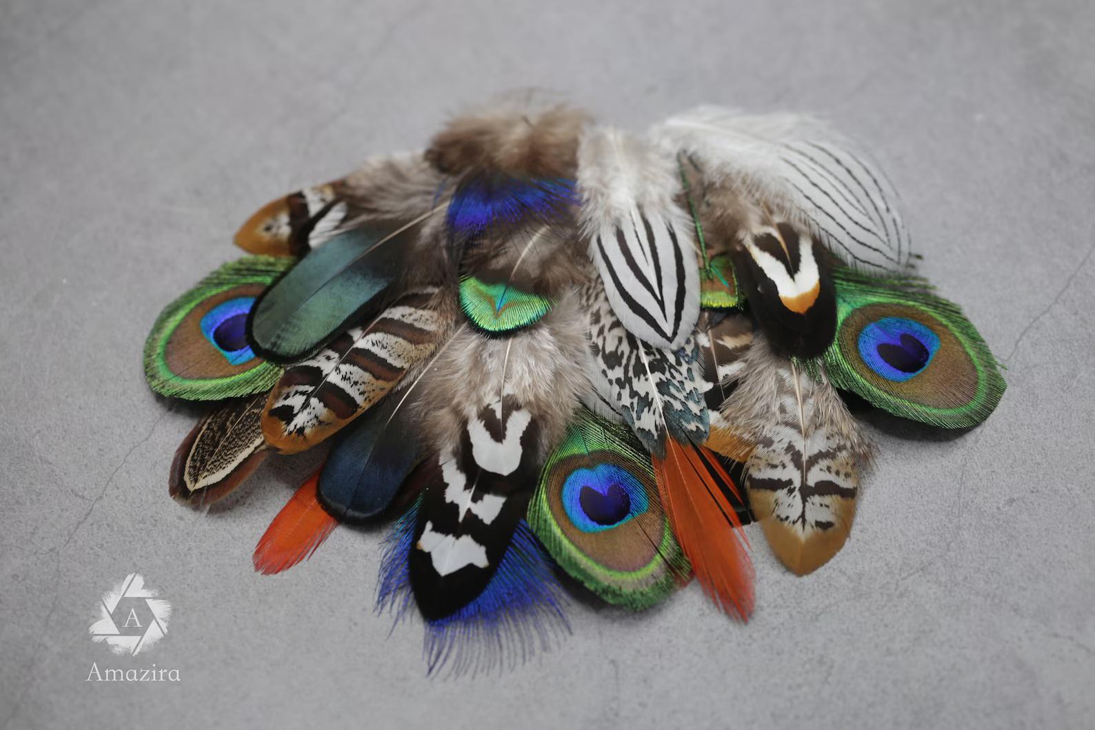 10 Natural Feathers packs