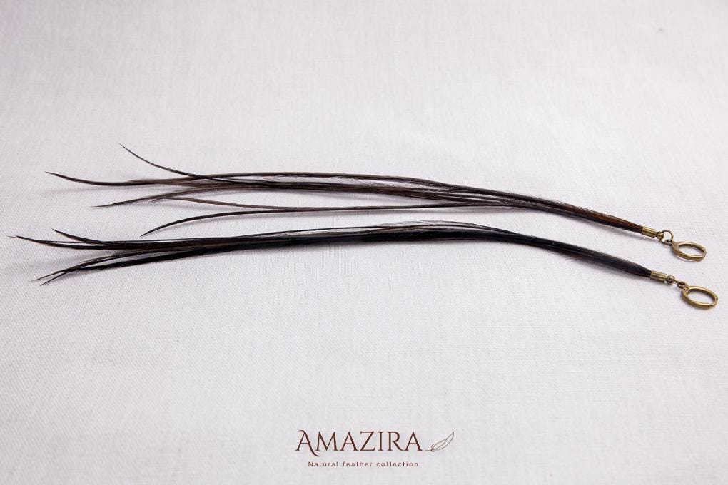 Black Long Natural Feather Earrings