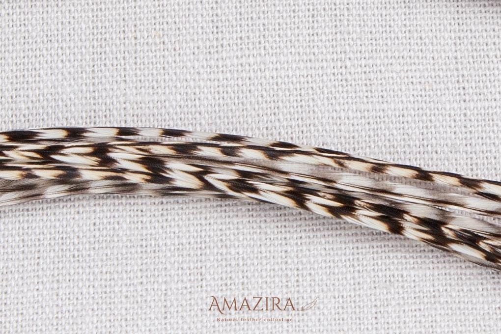 Grizzly feathers earrings