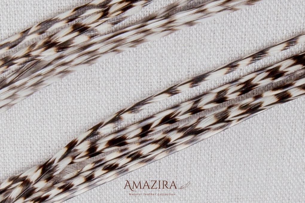 Grizzly feathers earrings