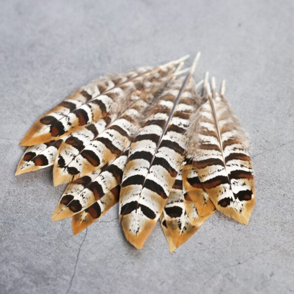 Medium owl stripped pheasant feathers, 3-6" / 9-15 cm